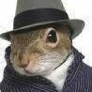 squirrelmh avatar