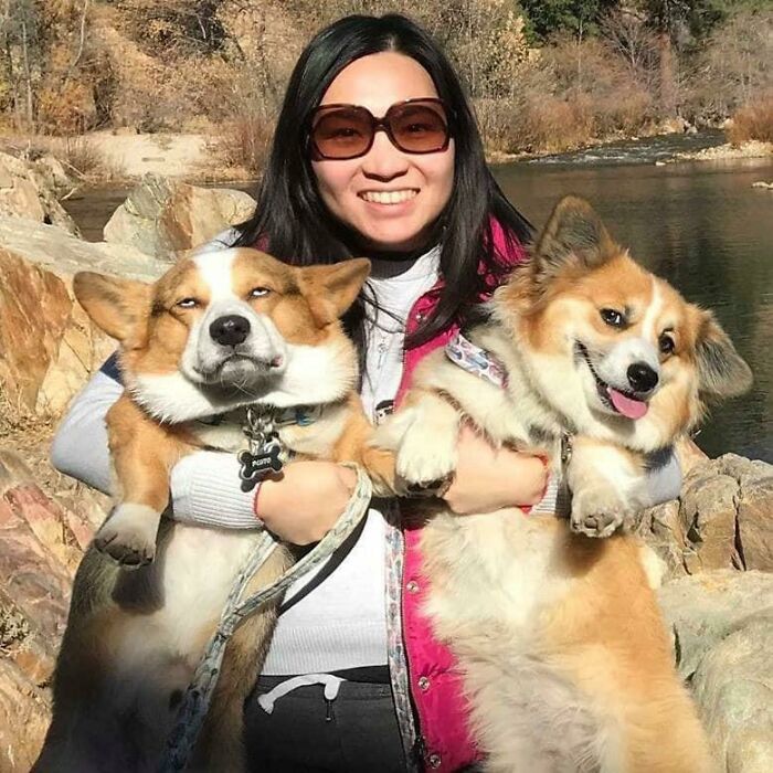 This Woman With Her Two Corgis