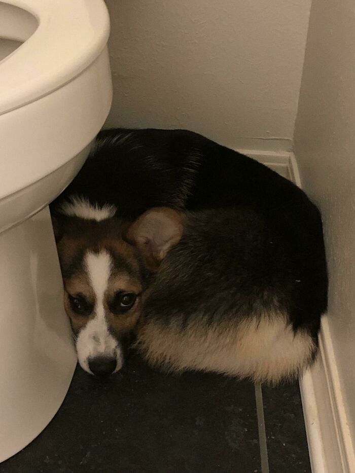 My Sweet Boy In His “Safe Place” During Fireworks