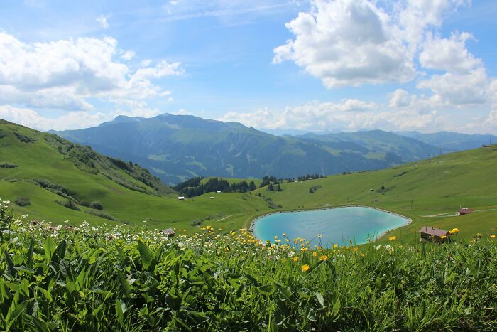 Tras 2 días de excursión con paisajes preciosos, vimos esto en Lenk, Suiza