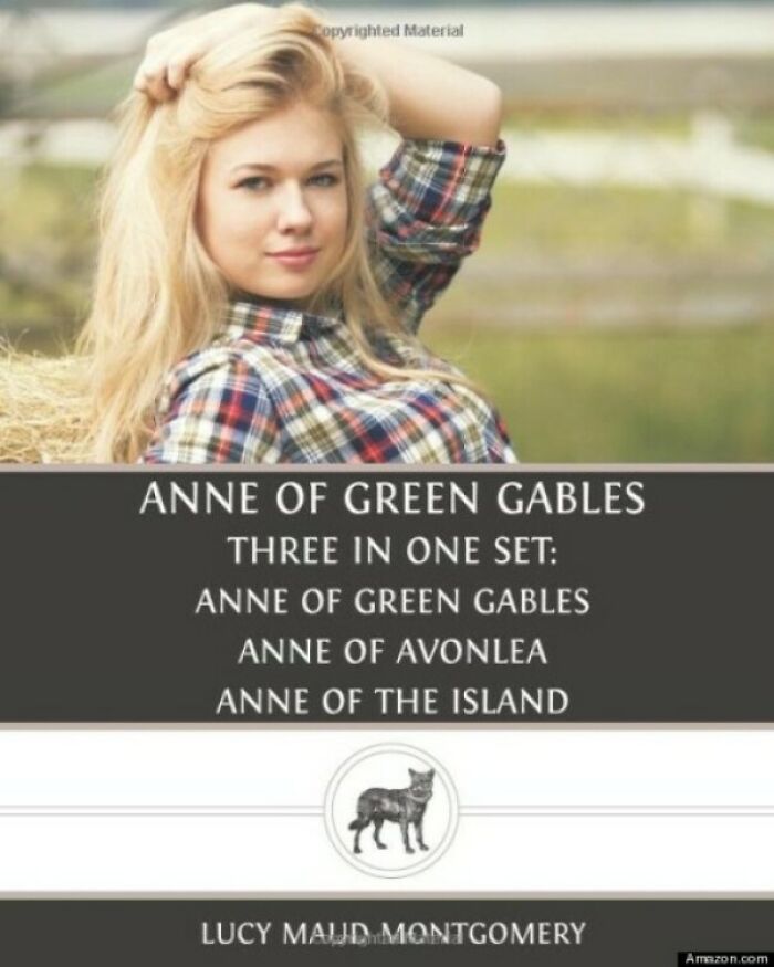 This Come-Hither Book Cover Depicting Anne Of Green Gables, The Plucky, Freckled Orphan Girl Whose Most Recognizable Trait Is Her Red Hair