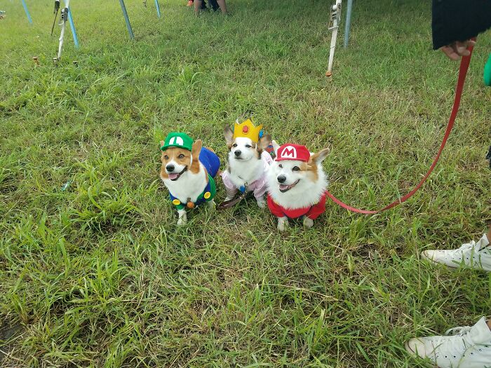 Ran Into These Good Boys And Good Girl At A Convention Saturday!