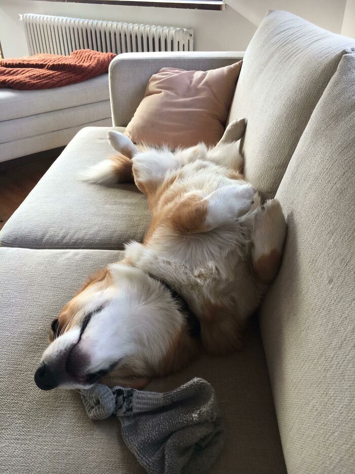 When You’re Really Comfy
