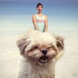 joshrishton_1 avatar