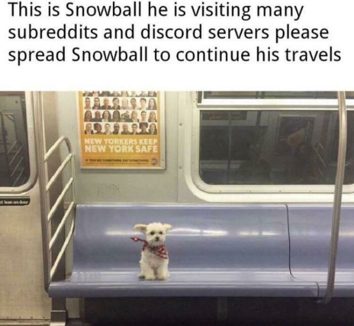 Help Him Travel!