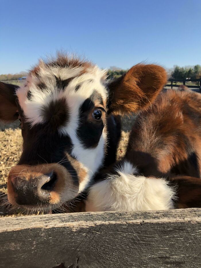 Friend Saw These Cuties Over Break