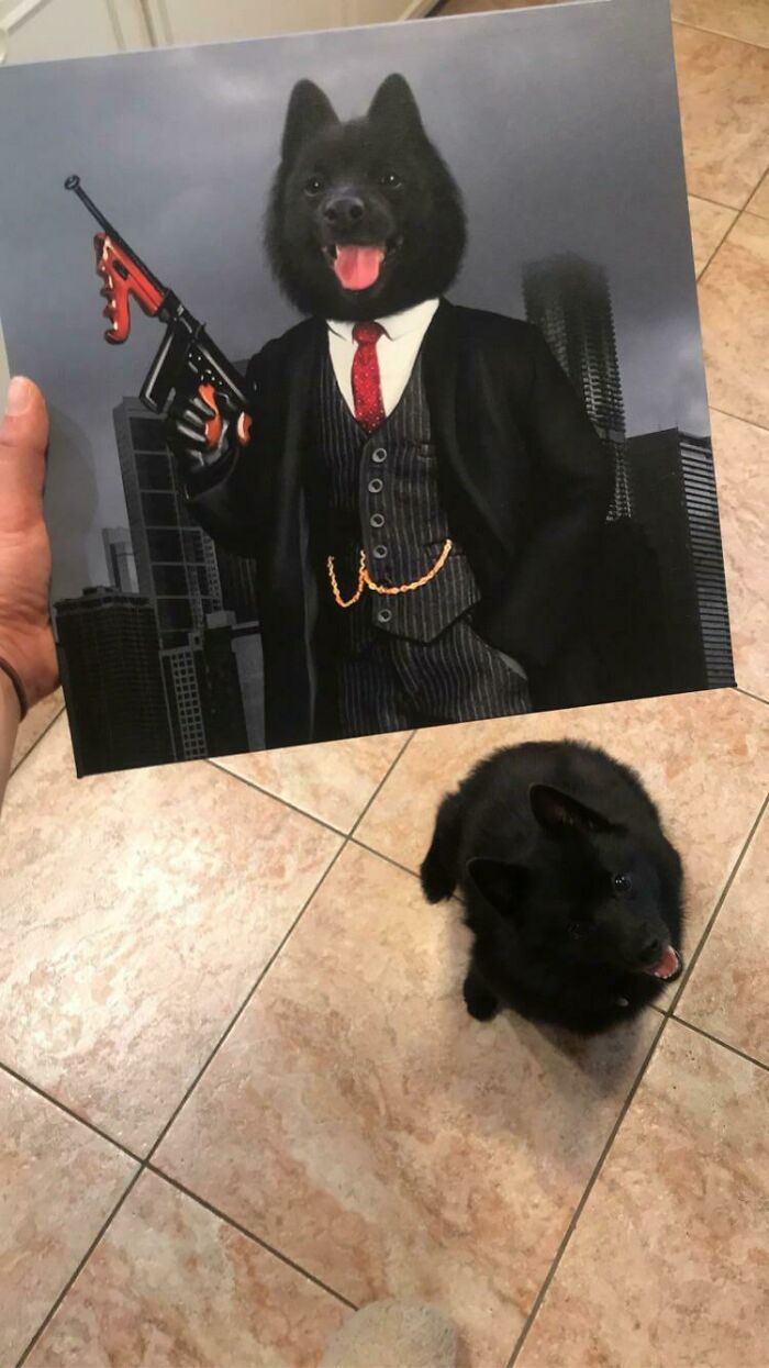 For Our Anniversary, My Boyfriend Decided To Get Me A Picture Of My Dog That Does Not Reflect His Personality, Whatsoever