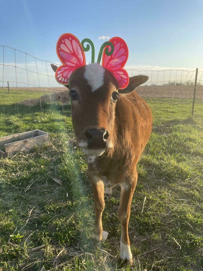 We’re Ready For Spring On Our Little Farm