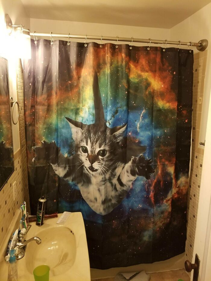 My Wife Got The Shower Curtain For Me