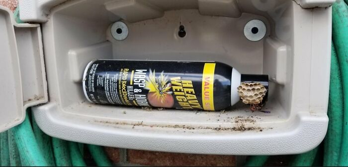 Wasps Made A Nest On My Anti-Wasps Spray Bottle...
