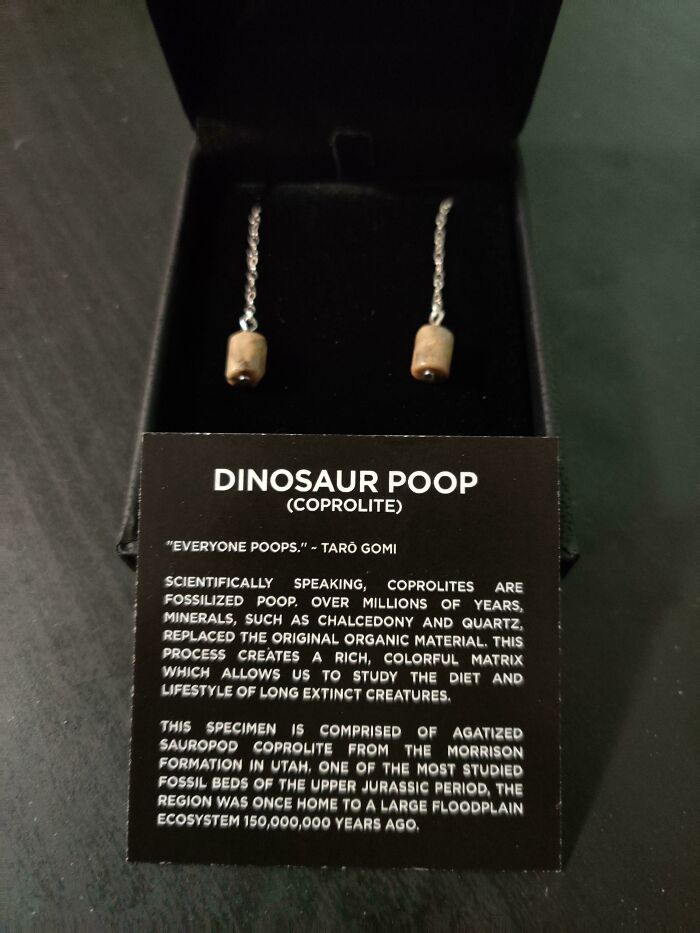 I Told My Husband I Just Wanted Some "Crappy Earrings" For Christmas. He Delivered