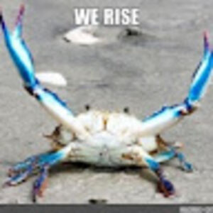 caydenhenderson avatar