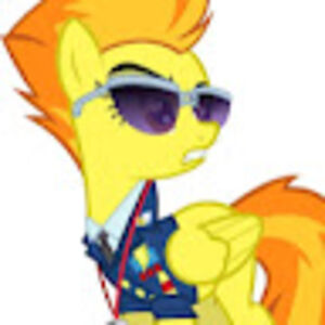 spitfireismycaptain avatar