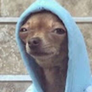 winterarmstrong avatar