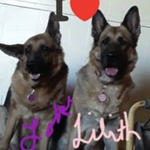 suzana_omalley avatar