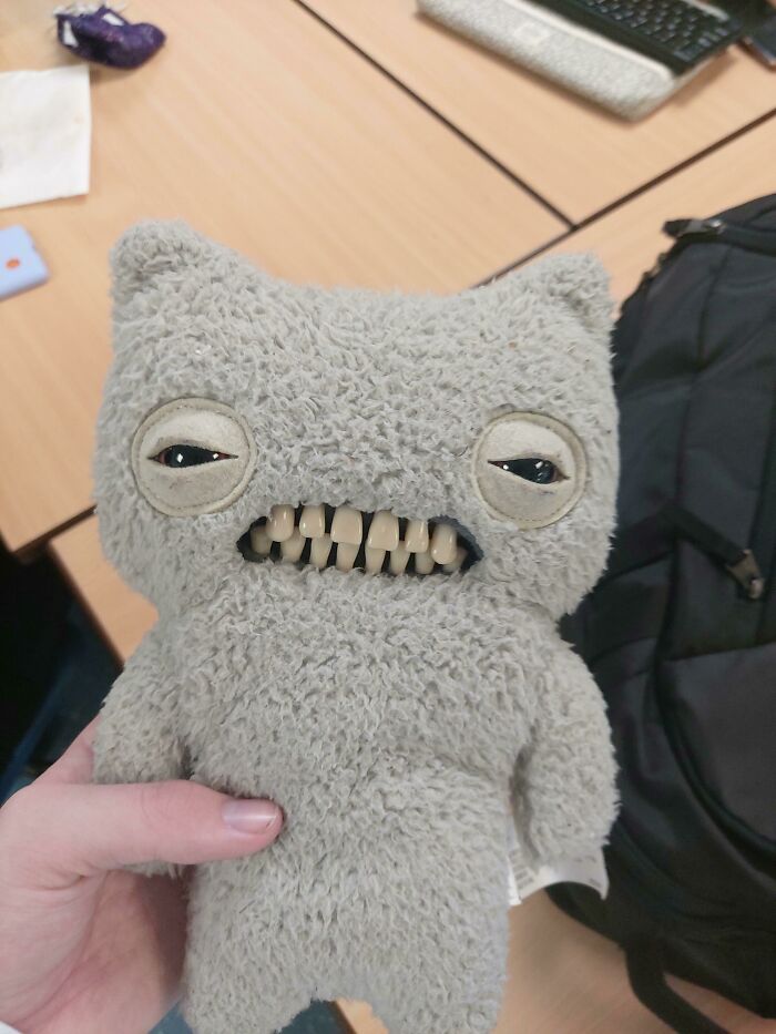 This Plushie My Friend Brought To School Today