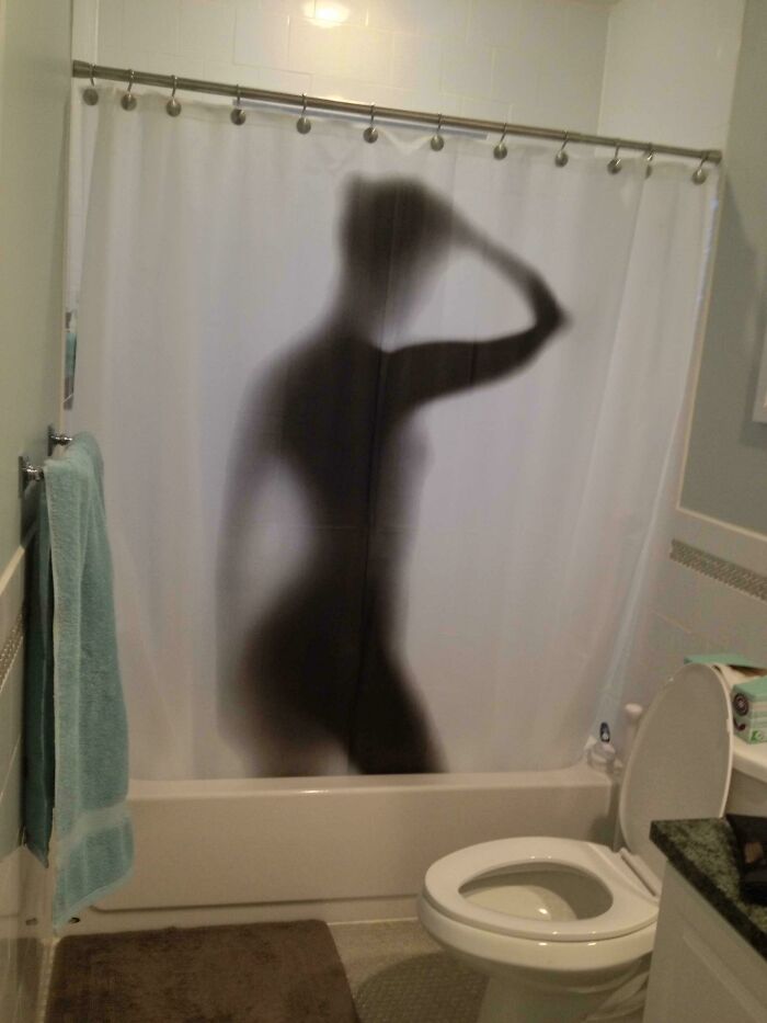 My Shower Curtain Never Fails To Make Visitors Do A Double-Take When They Walk Past My Bathroom