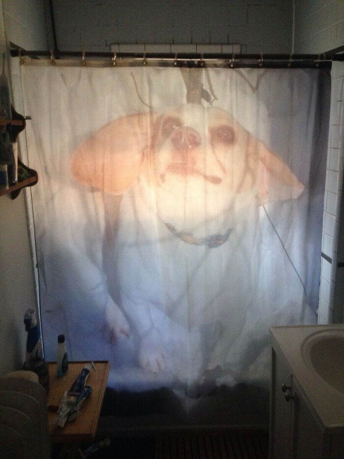 We're Doing Shower Curtains? My Girlfriend Thinks I'm Obsessed With My Dog. I Am