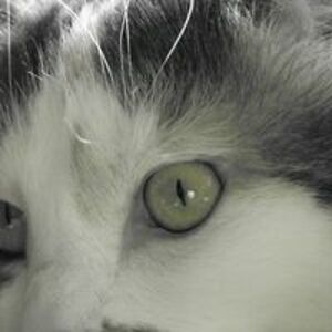 leekirsten_mack avatar