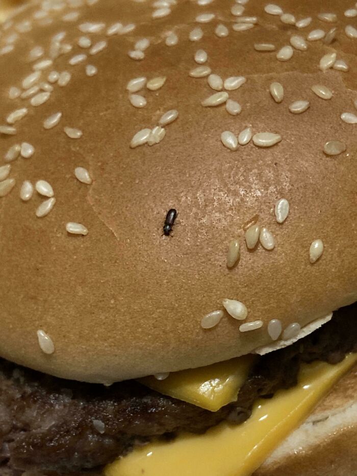 My McDonald's Burger Had A Bug Baked Into The Bun