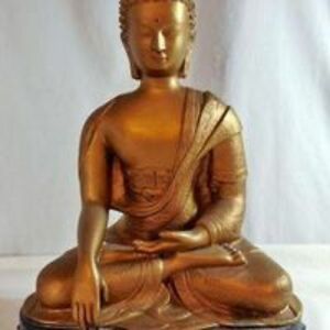 sharlescostaabadpassos avatar