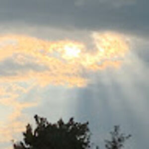 melissajseybolt avatar