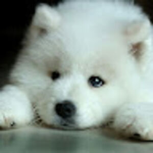 oliviabrown_1 avatar