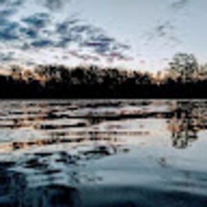 imogenwestley avatar