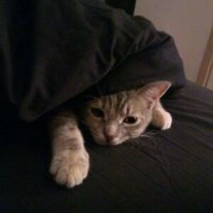 mark_kruger88 avatar