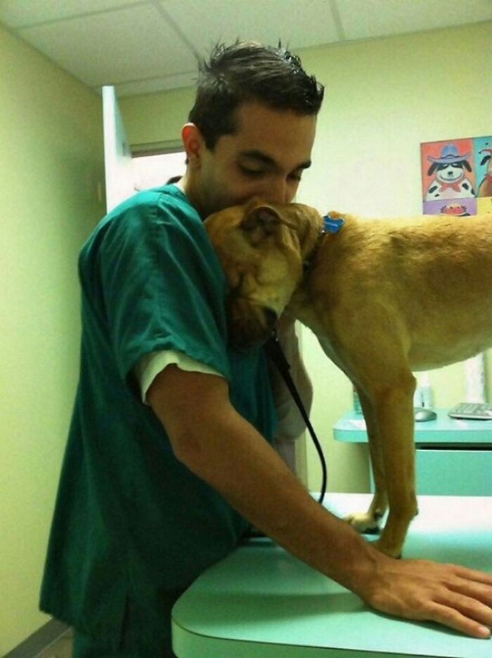 Un conmovedor "gracias" a un veterinario