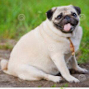 marshallyingst avatar