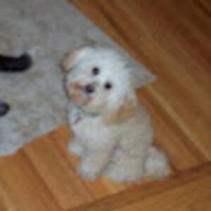 stephanieesquivel_1 avatar