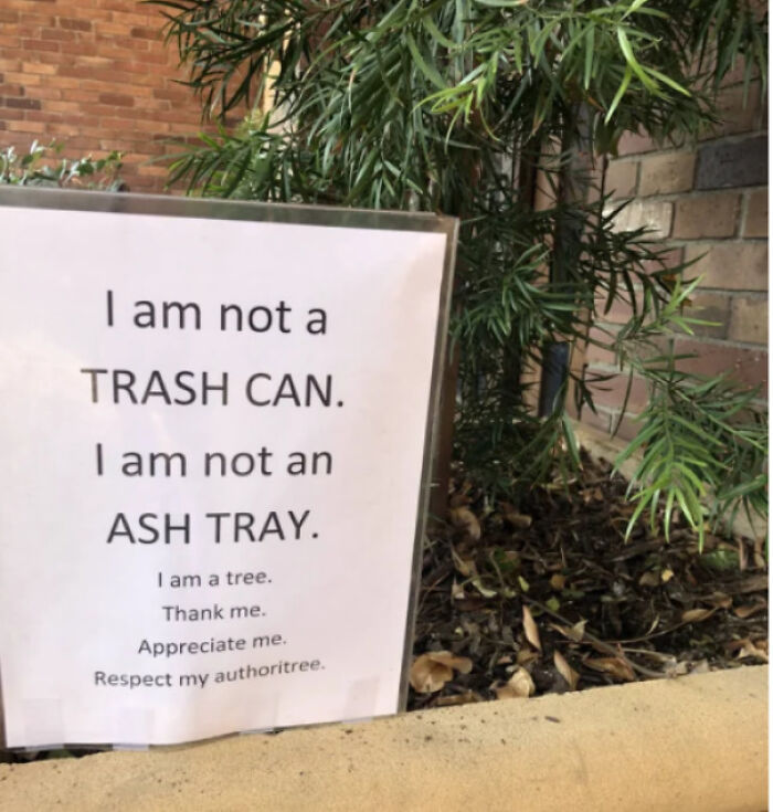 People Won’t Stop Throwing Trash On Trees