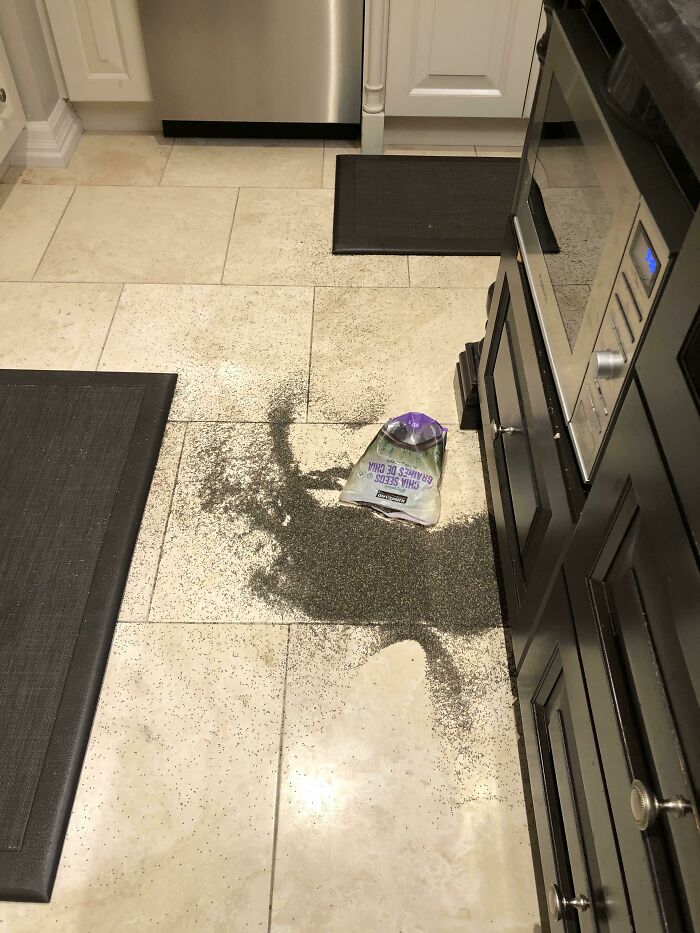 My Mom Was Just Finishing Cleaning The Kitchen And Then Spilled A Bag Of Chia Seeds On The Ground