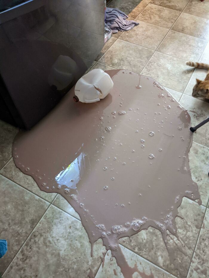 Just Bought Gallon Of Chocolate Milk For The Kids. Bumped It Trying To Put It In To The Fridge And It Noped Right Out Of My Hand. A Gallon Really Doesn't Seem Like Much, Until You Have To Clean It Off The Floor. The Splatter Zone Behind Me Was Pretty Impressive Too