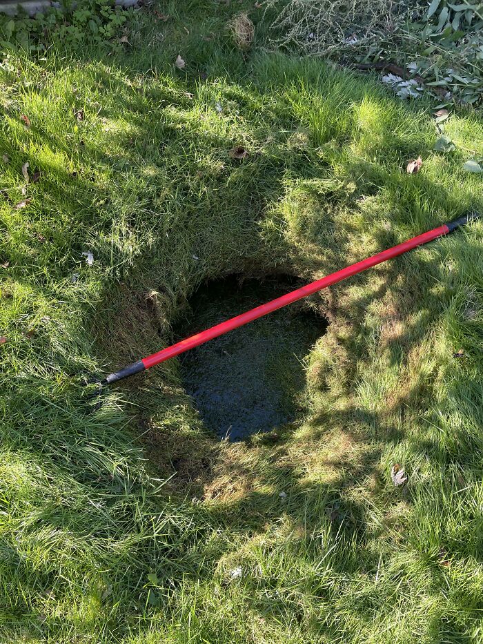 I Discovered A 5’ Deep Sinkhole In My Backyard