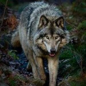 rebecca_forshaw avatar