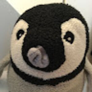 gracemarabella avatar