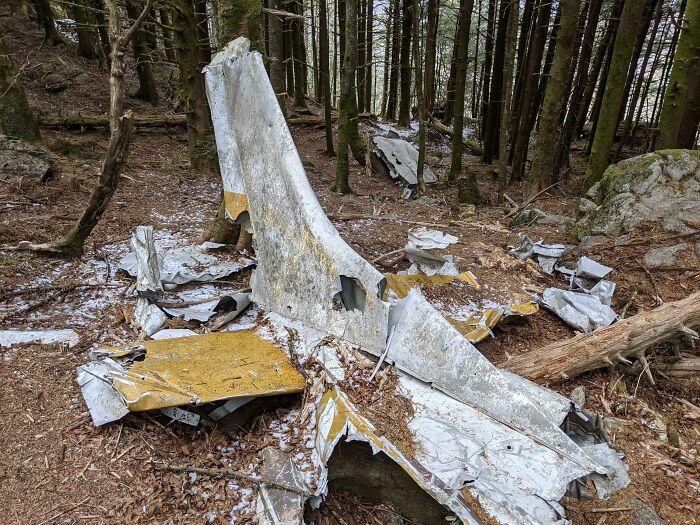 I Found Plane Wreckage While Hiking In A State Park This Weekend