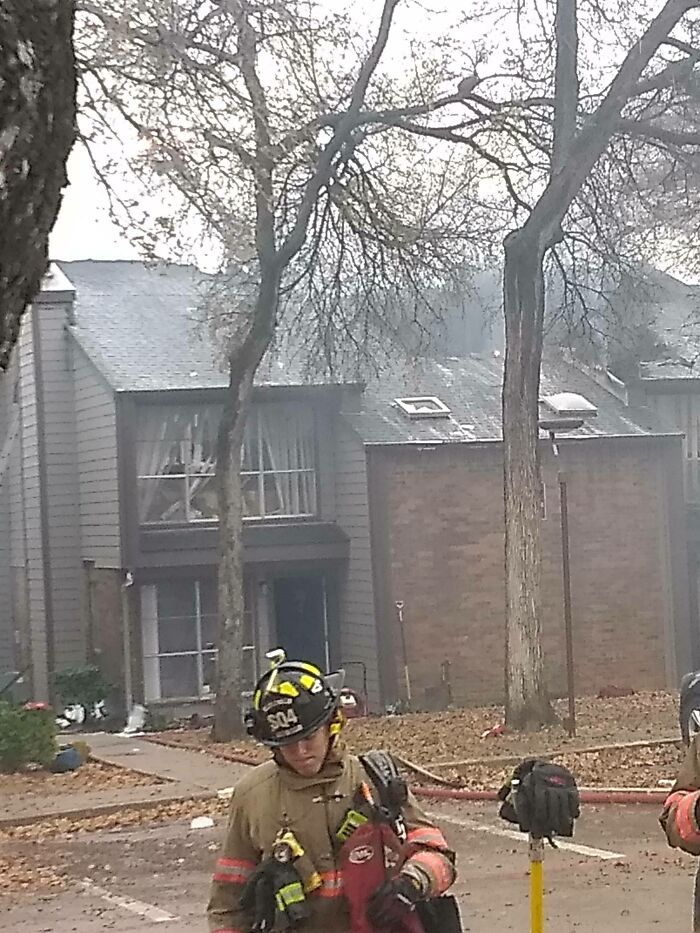 My Apartment Building Burned Down This Afternoon. Happy Thanksgiving I Guess