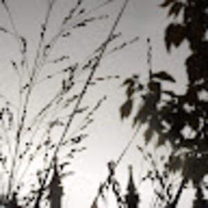 marielswindler avatar