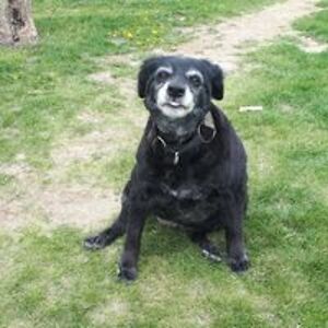 doripmsturgeon822 avatar