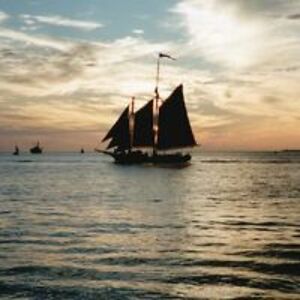 rebecca_wailes avatar