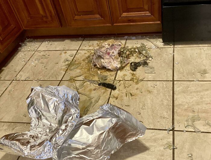 Dog Pulled The Turkey Off The Counter And Shattered The Glass Dish It Was In