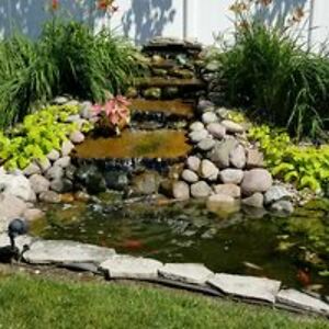 rigdon_family_2010 avatar