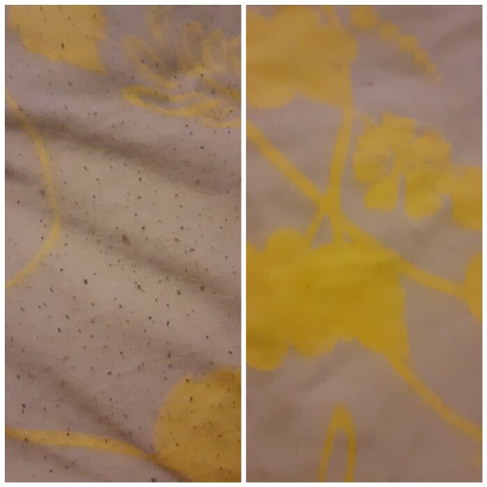 Can't Get New Sheets So Tried The Razor Trick... Safe To Say It Worked. Thank You To This Sub!!!