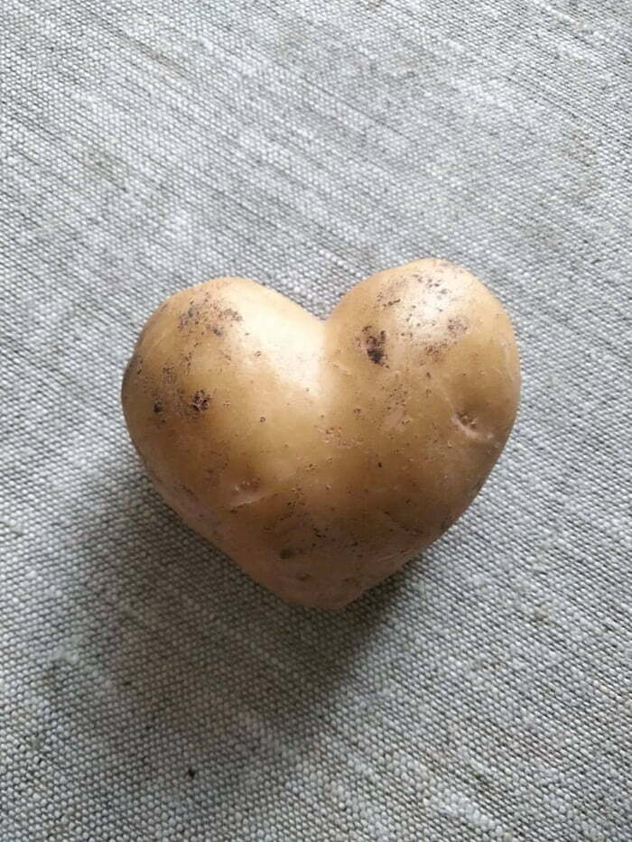 I've Found This Heart Shaped Potato In My Garden