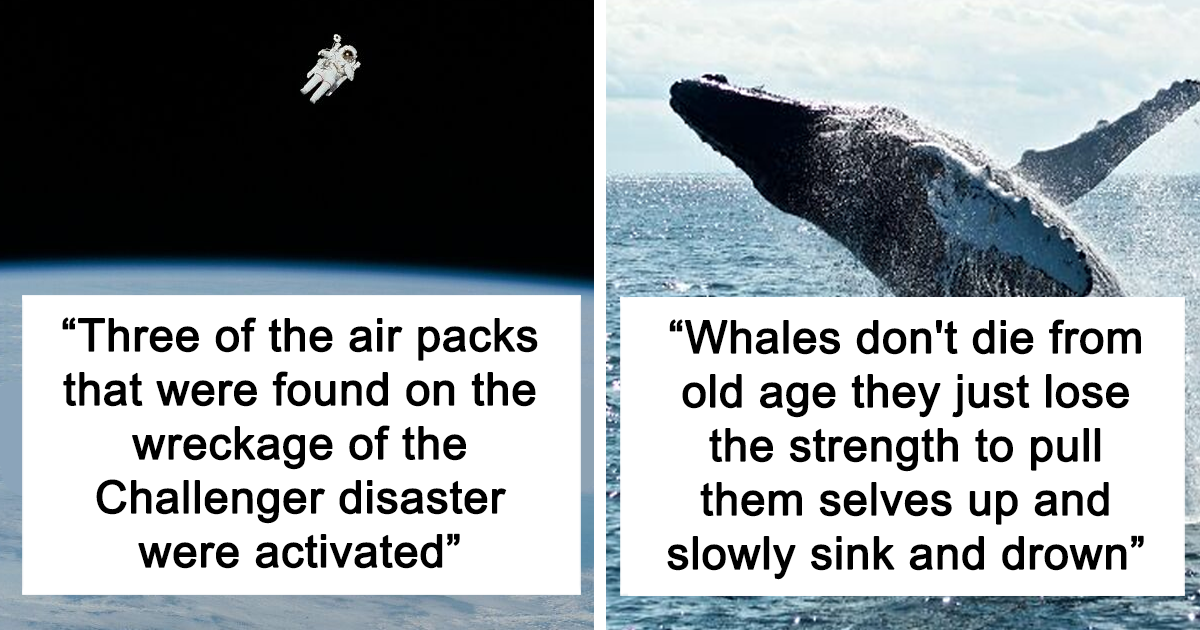 17 Unsettling Random Facts That'll Freak You The Fuck Out