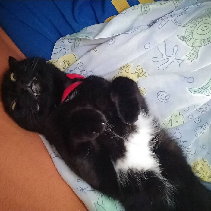 This Sleeping Position