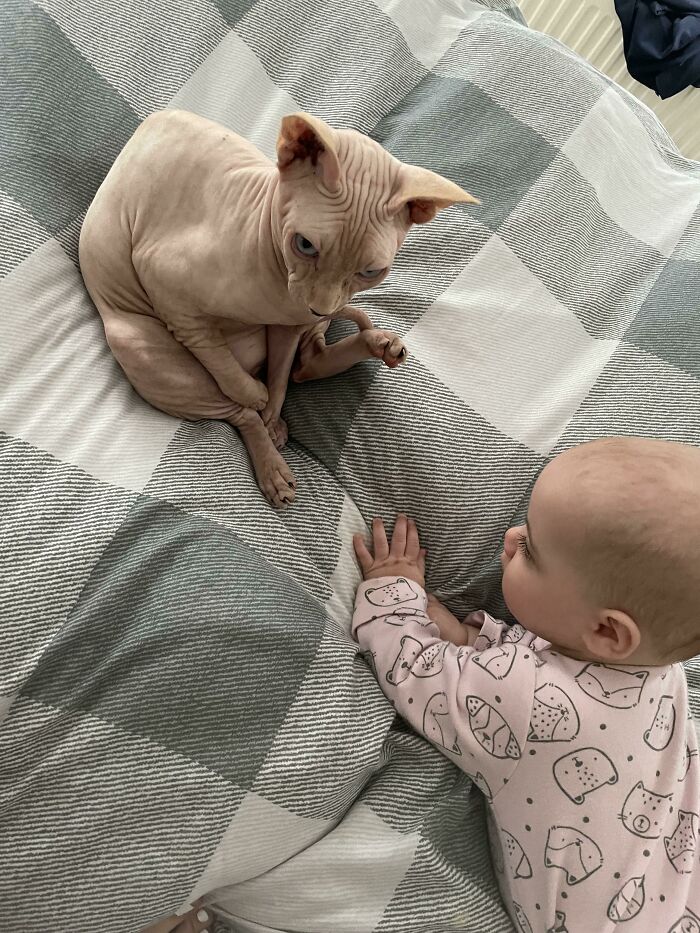 Sid Always Sits Like A Total Idiot, But He Is My Daughters Absolute Best Friend. They Love Each Other So Much!